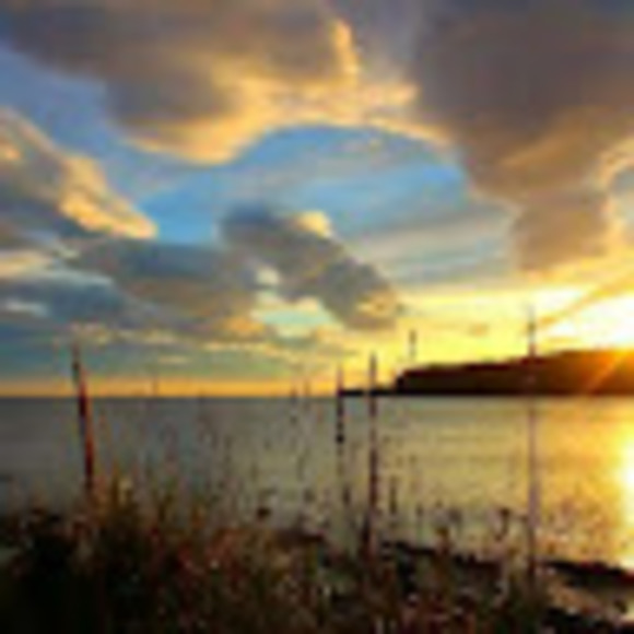 Meet your Posher, The - Picture 1 of 1